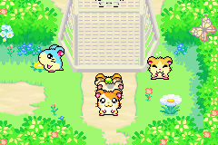 screenshots/Game Boy Advance/Hamtaro - Rainbow Rescue/Hamtaro - Rainbow Rescue (Eng) 060.png